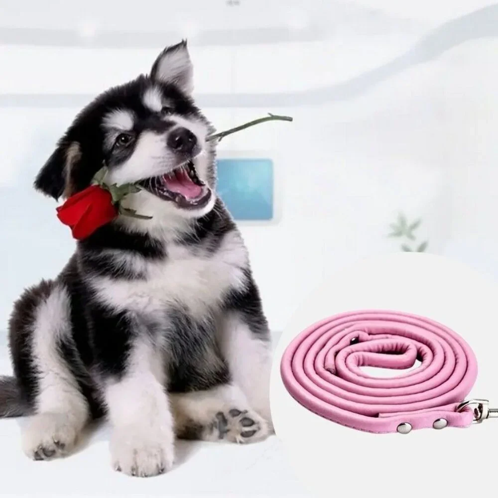 Xander Rey Pink Leather Dog Leash Gift Packaged